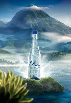 a bottle of water sitting on top of a rock in the middle of a body of water