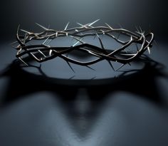 a crown of thorns on top of a black surface with light shining through it