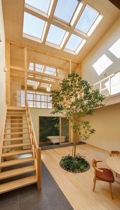 a tree in the middle of a room with wooden floors and skylights above it