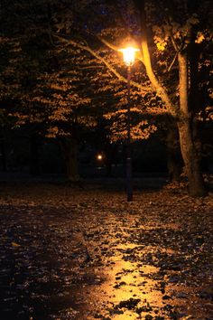 a street light shines brightly in the dark, with fallen leaves on the ground