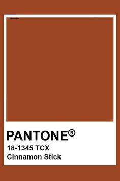 Brown Pantone, Pantone Tcx, Classic Blue Pantone, Pantone Swatches, Pantone 2020, Pantone Palette, Pantone Colour Palettes, Cinnamon Color, Color Analysis