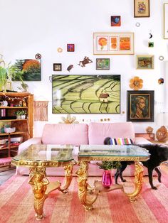 a living room with pink couches and pictures on the wall above it, along with a black cat