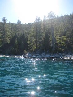 the sun shines on the water and trees in the background, as seen from a boat