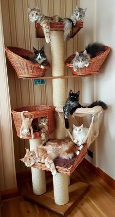 Transform your home into a cat's paradise with a tree from Amazon. Trust us, buy now! Katt Diy, Cat Room Decor, Katt Grejer, Chat Diy, Săpunuri Handmade, Cat Patio, Cat Tree House, Diy Cat Tree