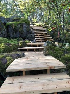 wooden steps leading up to the top of a hill