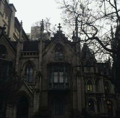 an old building with lots of windows in the middle of trees and trash on the ground