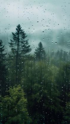 rain drops on the window and trees in the foreground, as seen from outside