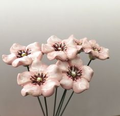 some pink flowers are in a glass vase