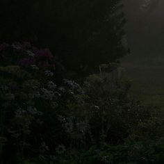 a person walking in the dark with an umbrella over their head on a foggy day