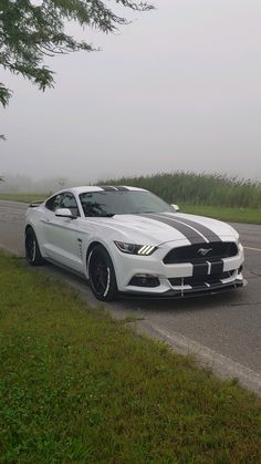 a white and black mustang parked on the side of the road in front of a tree