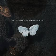 a white butterfly with the words may every good thing make its way to you