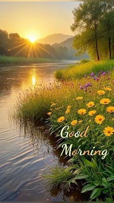 the words good morning are in front of a river with wildflowers and daisies