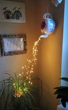 a potted plant with fairy lights hanging from it's side next to a window