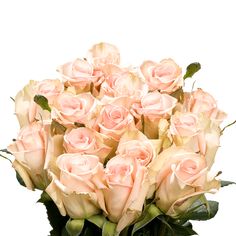 a bouquet of pink roses in a vase