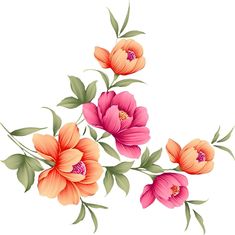 three flowers with green leaves on a white background, one is pink and the other is orange