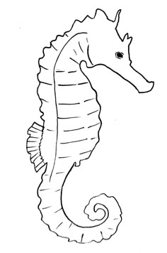 a drawing of a sea horse