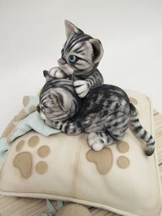 Katzen Kuchen Pillow Cakes, Cat Magazine, Sculpted Cakes, Fabulous Cakes, Dog Cakes, Animal Cakes, 3d Cakes