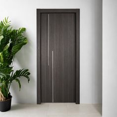 a potted plant next to a wooden door in an empty room with white walls