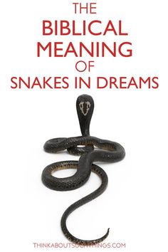 the biblical meaning of snakes in dreams