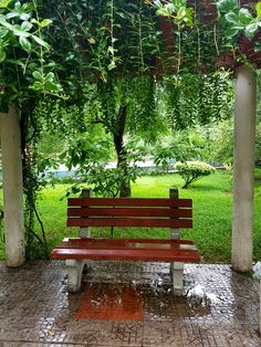 a wooden bench sitting under a pergolia covered arbor in a park with green grass and trees