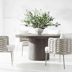 a round table with chairs around it and a potted plant in the middle on top