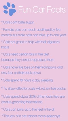 a pink poster with the words fun cat fact on it