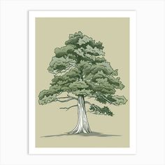 a drawing of a large tree with lots of leaves on it's trunk and branches