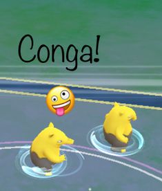 an animated image of two yellow bears in water with the caption congratulate