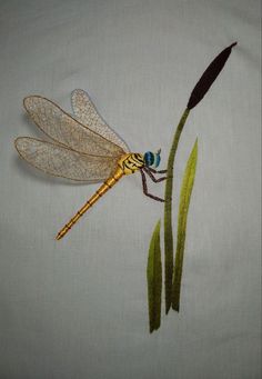 a dragonfly sitting on top of a green plant next to a white cloth covered wall