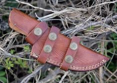 a leather knife case sitting on top of a tree branch