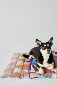 a small black and white dog laying on top of a colorful patchwork blanket in front of a gray wall