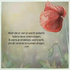 a watercolor painting of a red flower with a quote on the bottom that reads, wet dau ran le word gedach, tidyens deze zwarte zwart diagen,