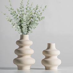 two white vases with green plants in them