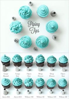 cupcakes with blue frosting are arranged in different shapes and sizes, along with the words piping tips