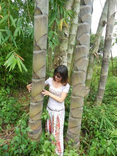 a woman standing between two tall palm trees