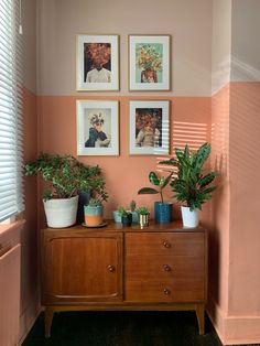 some plants are sitting on top of a wooden cabinet in a room with pink walls