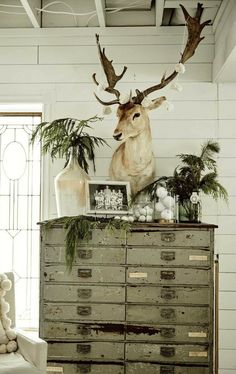 a deer head on top of an old dresser