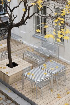 an outdoor seating area with four chairs and a tree in the foreground, surrounded by yellow leaves