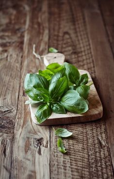 fresh basil leaves on a wooden cutting board