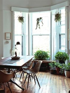 a dining room table surrounded by potted plants in front of a large round window