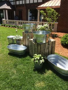 an image of some plants in buckets on the grass