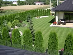 a large yard with lots of green grass and trees in the back ground, surrounded by hedges