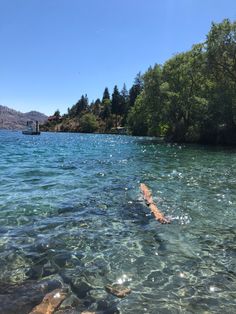 Beautiful lake scenery Summer Aesthetic Scenery, Swimming In A Lake Aesthetic, Lake Chelan Aesthetic, Swimming At The Lake, Bc Summer Aesthetic, Swimming Lake Aesthetic, Swimming Summer Aesthetic, Summer On The Lake, Lake Aestethic