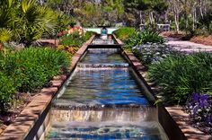 a long water feature in a garden with lots of plants and flowers around it on either side