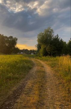 a dirt road in the middle of a grassy field