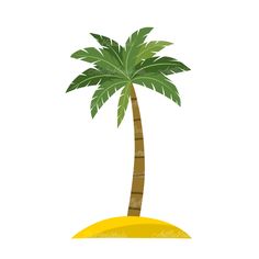 a palm tree with green leaves on an island