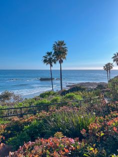 palm trees on the beach with flowers and plants in front of them by the ocean