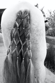 the back of a horse's head with long braids and studded hair