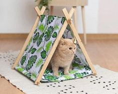 a cat sitting in a teepee tent on top of a floor next to a potted plant