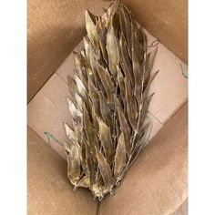 a bunch of feathers sitting on top of a cardboard box